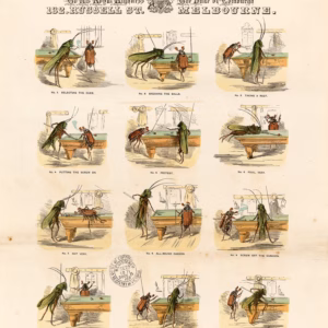 Alcock & Co 1871 Advertisement